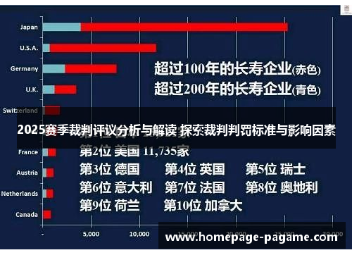 2025赛季裁判评议分析与解读 探索裁判判罚标准与影响因素