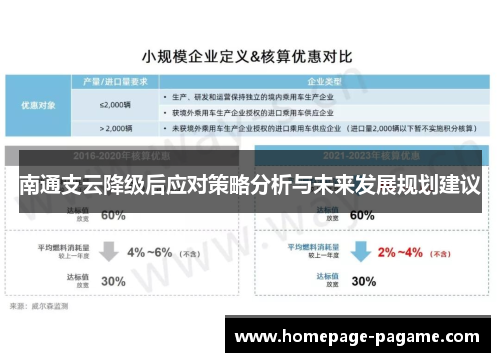 南通支云降级后应对策略分析与未来发展规划建议