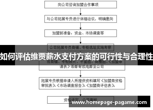 如何评估维贾薪水支付方案的可行性与合理性