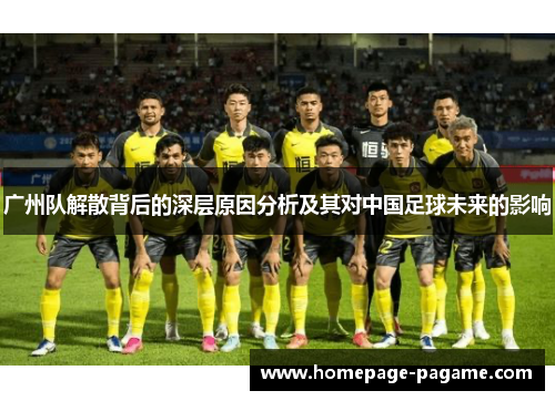 广州队解散背后的深层原因分析及其对中国足球未来的影响