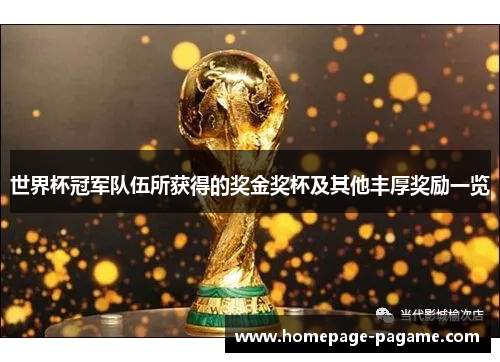 世界杯冠军队伍所获得的奖金奖杯及其他丰厚奖励一览