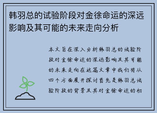 韩羽总的试验阶段对金徐命运的深远影响及其可能的未来走向分析