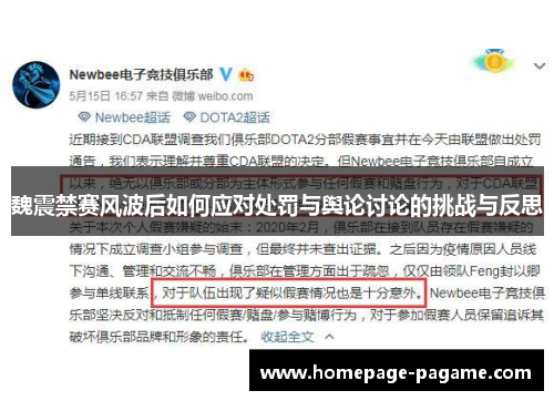 魏震禁赛风波后如何应对处罚与舆论讨论的挑战与反思