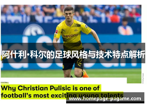 阿什利·科尔的足球风格与技术特点解析